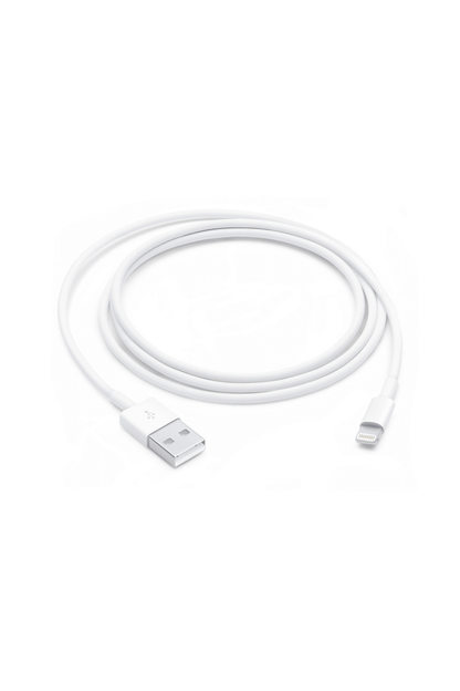 Apple USB TO Lightning Charging Cable