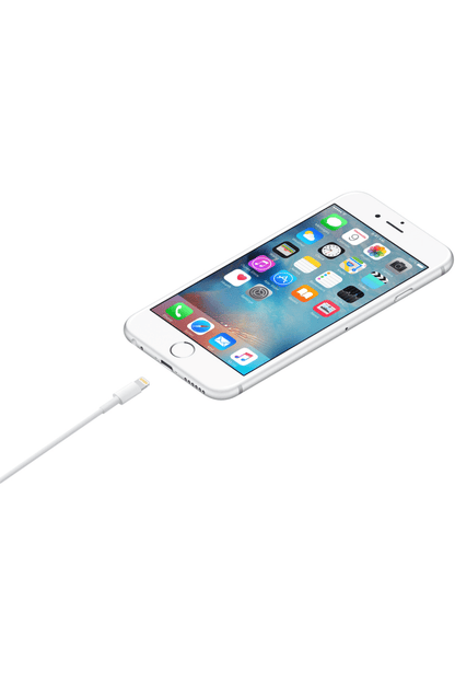 Apple USB TO Lightning Charging Cable