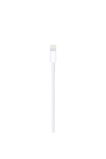 Apple USB TO Lightning Charging Cable